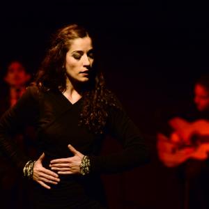Fotografía de Flamenco y Pinto - 