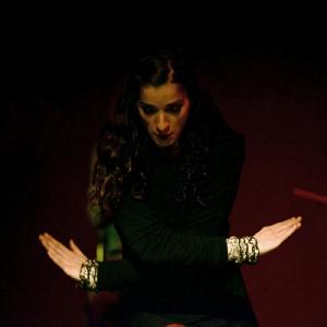 Fotografía de Flamenco y Pinto - 