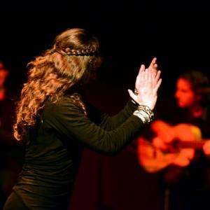 Fotografía de Flamenco y Pinto - 