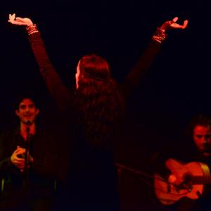 Fotografía de Flamenco y Pinto - 