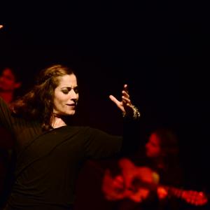 Fotografía de Flamenco y Pinto - 