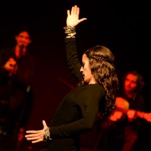 Fotografía de Flamenco y Pinto - 