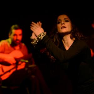 Fotografía de Flamenco y Pinto - 