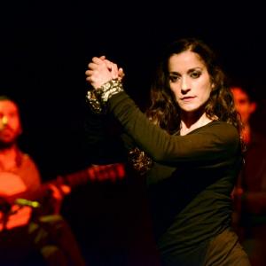 Fotografía de Flamenco y Pinto - 
