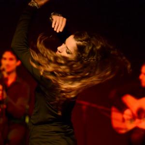 Fotografía de Flamenco y Pinto - 