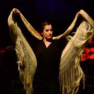 Fotografía de Flamenco y Pinto - 