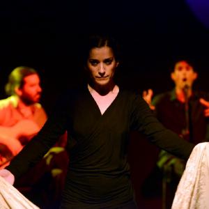 Fotografía de Flamenco y Pinto - 