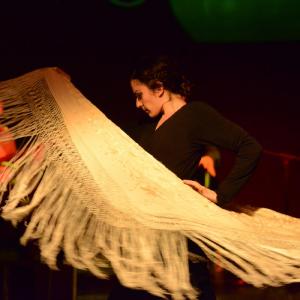 Fotografía de Flamenco y Pinto - 