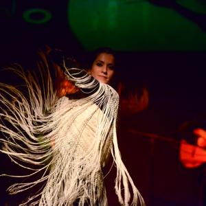 Fotografía de Flamenco y Pinto - 
