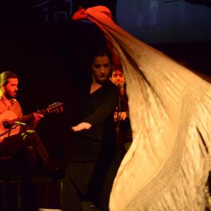 Fotografía de Flamenco y Pinto - 