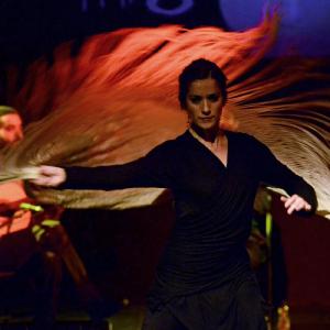 Fotografía de Flamenco y Pinto - 