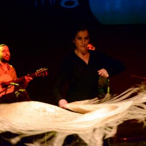 Fotografía de Flamenco y Pinto - 