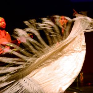 Fotografía de Flamenco y Pinto - 