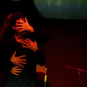 Fotografía de Flamenco y Pinto - 