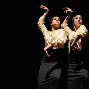 Fotografía de Concurso de coreografías 2013 Nivel I - Conservatorio de Danza