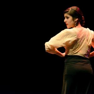 Fotografía de Concurso de coreografías 2013 Nivel I - Conservatorio de Danza