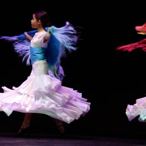 Fotografía de Concurso de coreografías 2013 Nivel I - Conservatorio de Danza