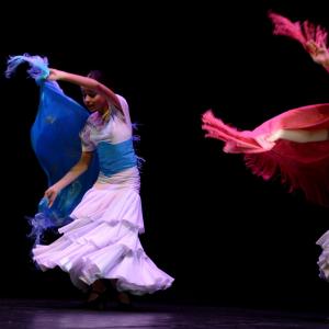 Fotografía de Concurso de coreografías 2013 Nivel I - Conservatorio de Danza