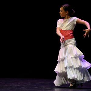 Fotografía de Concurso de coreografías 2013 Nivel I - Conservatorio de Danza