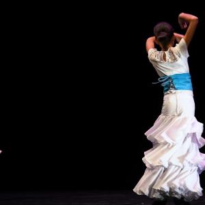 Fotografía de Concurso de coreografías 2013 Nivel I - Conservatorio de Danza