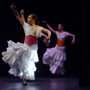 Fotografía de Concurso de coreografías 2013 Nivel I - Conservatorio de Danza