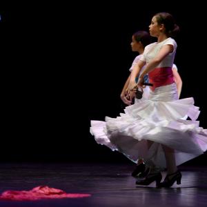 Fotografía de Concurso de coreografías 2013 Nivel I - Conservatorio de Danza
