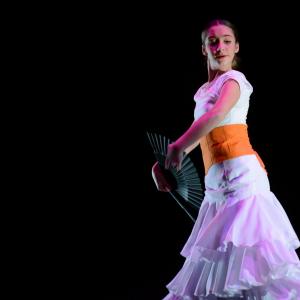Fotografía de Concurso de coreografías 2013 Nivel I - Conservatorio de Danza