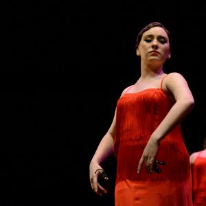 Fotografía de Concurso de coreografías 2013 Nivel I - Conservatorio de Danza