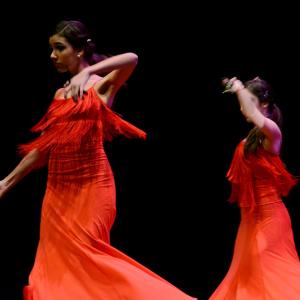 Fotografía de Concurso de coreografías 2013 Nivel I - Conservatorio de Danza