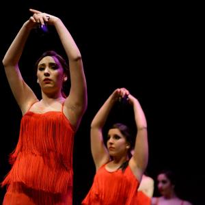 Fotografía de Concurso de coreografías 2013 Nivel I - Conservatorio de Danza