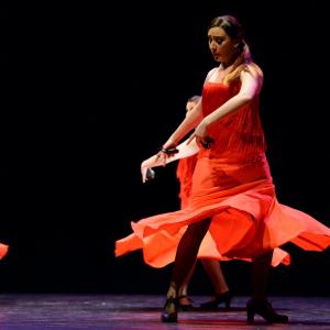 Fotografía de Concurso de coreografías 2013 Nivel I - Conservatorio de Danza