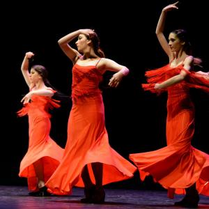 Fotografía de Concurso de coreografías 2013 Nivel I - Conservatorio de Danza