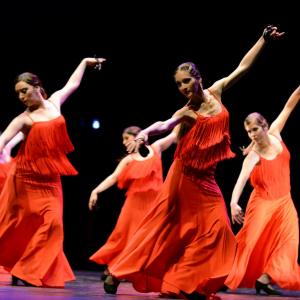 Fotografía de Concurso de coreografías 2013 Nivel I - Conservatorio de Danza