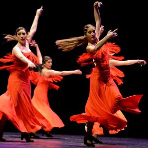 Fotografía de Concurso de coreografías 2013 Nivel I - Conservatorio de Danza
