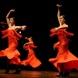 Fotografía de Concurso de coreografías 2013 Nivel I - Conservatorio de Danza