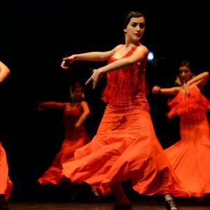 Fotografía de Concurso de coreografías 2013 Nivel I - Conservatorio de Danza