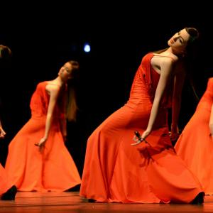 Fotografía de Concurso de coreografías 2013 Nivel I - Conservatorio de Danza