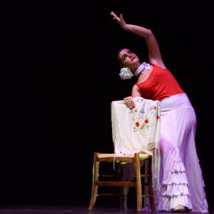 Fotografía de Concurso de coreografías 2013 Nivel I - Conservatorio de Danza