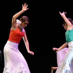 Fotografía de Concurso de coreografías 2013 Nivel I - Conservatorio de Danza