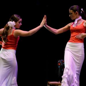 Fotografía de Concurso de coreografías 2013 Nivel I - Conservatorio de Danza
