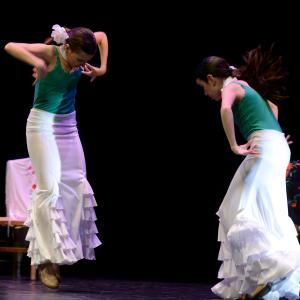 Fotografía de Concurso de coreografías 2013 Nivel I - Conservatorio de Danza