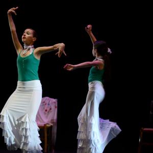 Fotografía de Concurso de coreografías 2013 Nivel I - Conservatorio de Danza