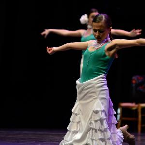 Fotografía de Concurso de coreografías 2013 Nivel I - Conservatorio de Danza