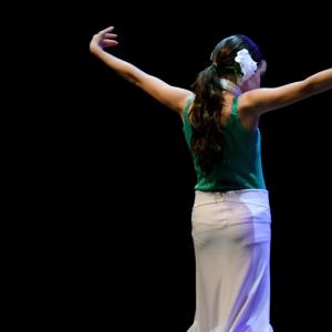 Fotografía de Concurso de coreografías 2013 Nivel I - Conservatorio de Danza