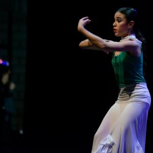 Fotografía de Concurso de coreografías 2013 Nivel I - Conservatorio de Danza