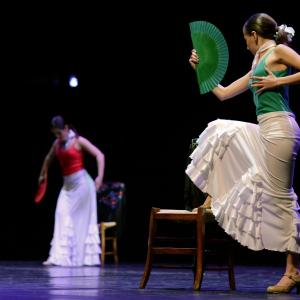 Fotografía de Concurso de coreografías 2013 Nivel I - Conservatorio de Danza