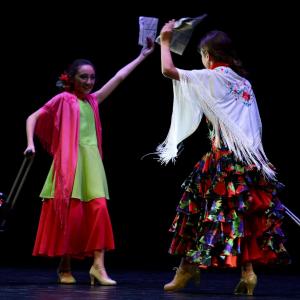 Fotografía de Concurso de coreografías 2013 Nivel I - Conservatorio de Danza