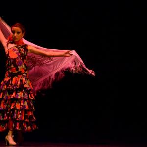 Fotografía de Concurso de coreografías 2013 Nivel I - Conservatorio de Danza