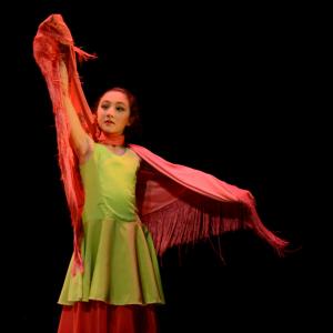 Fotografía de Concurso de coreografías 2013 Nivel I - Conservatorio de Danza