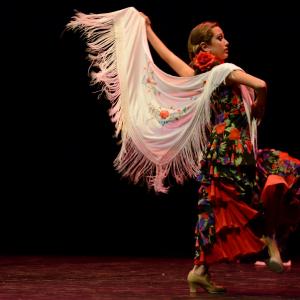 Fotografía de Concurso de coreografías 2013 Nivel I - Conservatorio de Danza